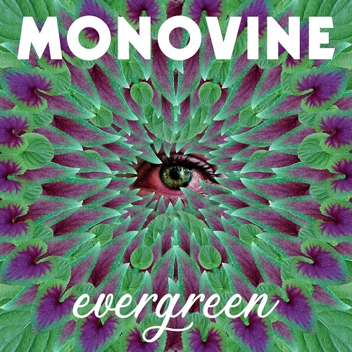 Νέο τραγούδι από τους Monovine